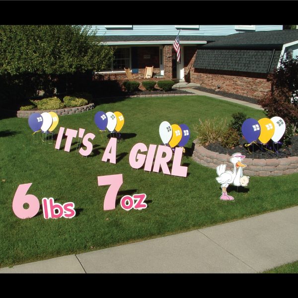 newborn_it's_a_girl_yard_greetings_lawn_signs_cards_happy_birthday_hoppy_over_hill