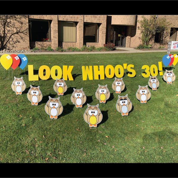 owl_look_whoo's_animals_yard_greetings_yard_cards_happy_birthday_over_the_hill_lawn_signs_2