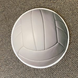 volleyball-yard-greetings-yard-cards-lawn-signs-corrugated-plastic